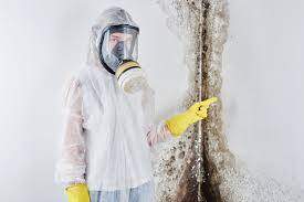 Why You Should Choose Our Mold Remediation Services in Massapequa, NY